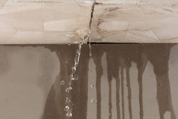 Professional Sewage Cleanup technician working in Tiltonsville, OH
